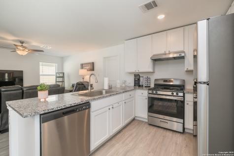 10227 Mesa Medina San Antonio TX 78252