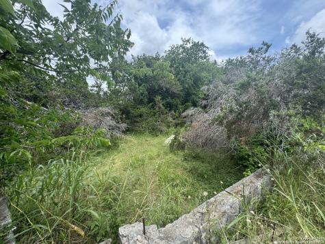 Lot 10 Browning San Antonio TX 78260