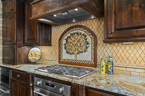1039 Bluewater Place Spring Branch TX 78070