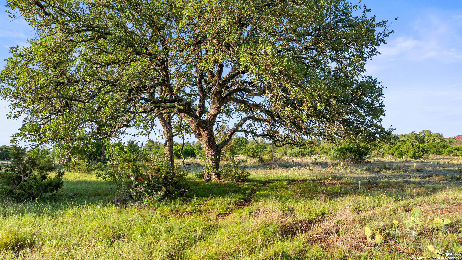 Lot 4 Vista Ridge Round Mountain TX 78663