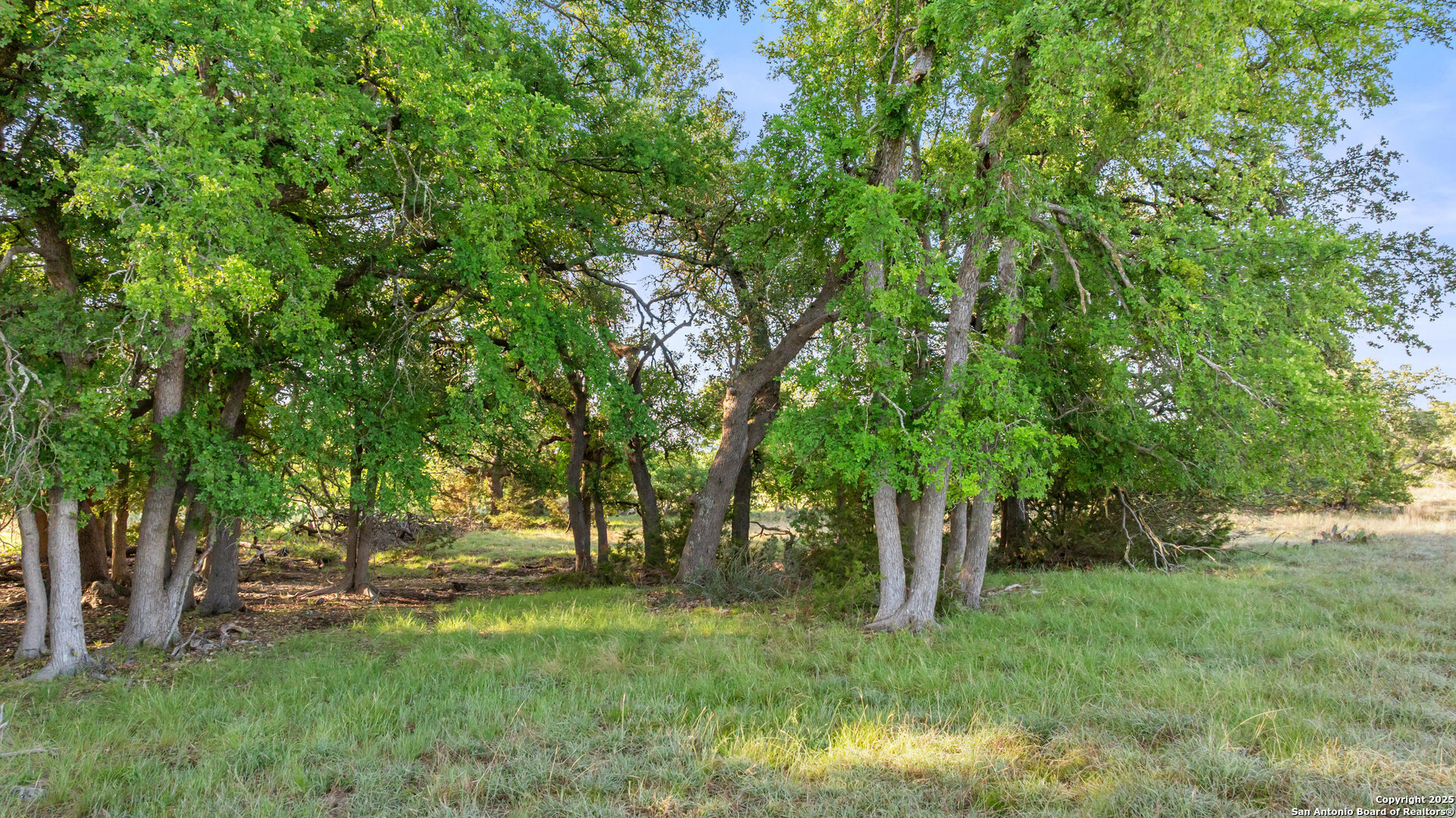Lot 4 Vista Ridge Round Mountain TX 78663
