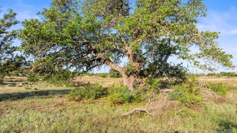 Lot 4 Vista Ridge Round Mountain TX 78663