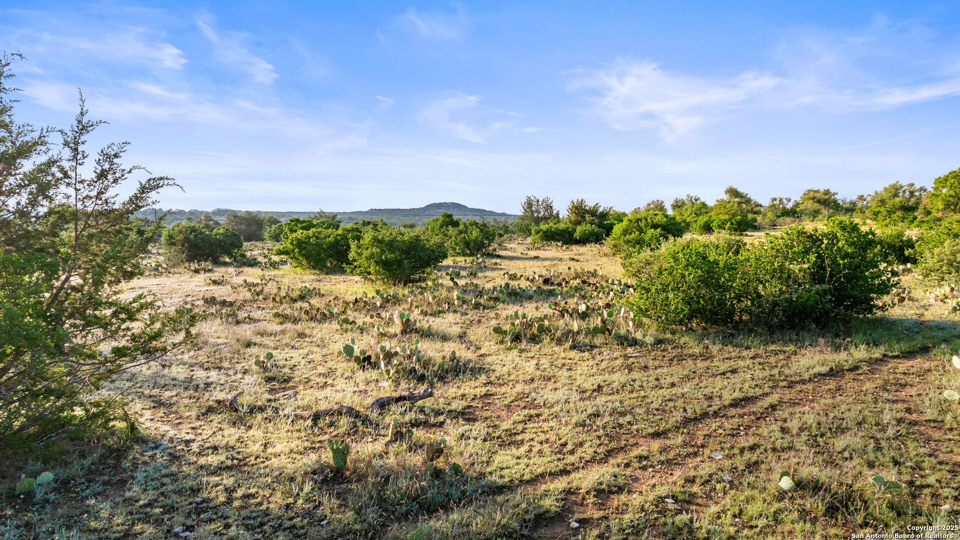 Lot 4 Vista Ridge Round Mountain TX 78663
