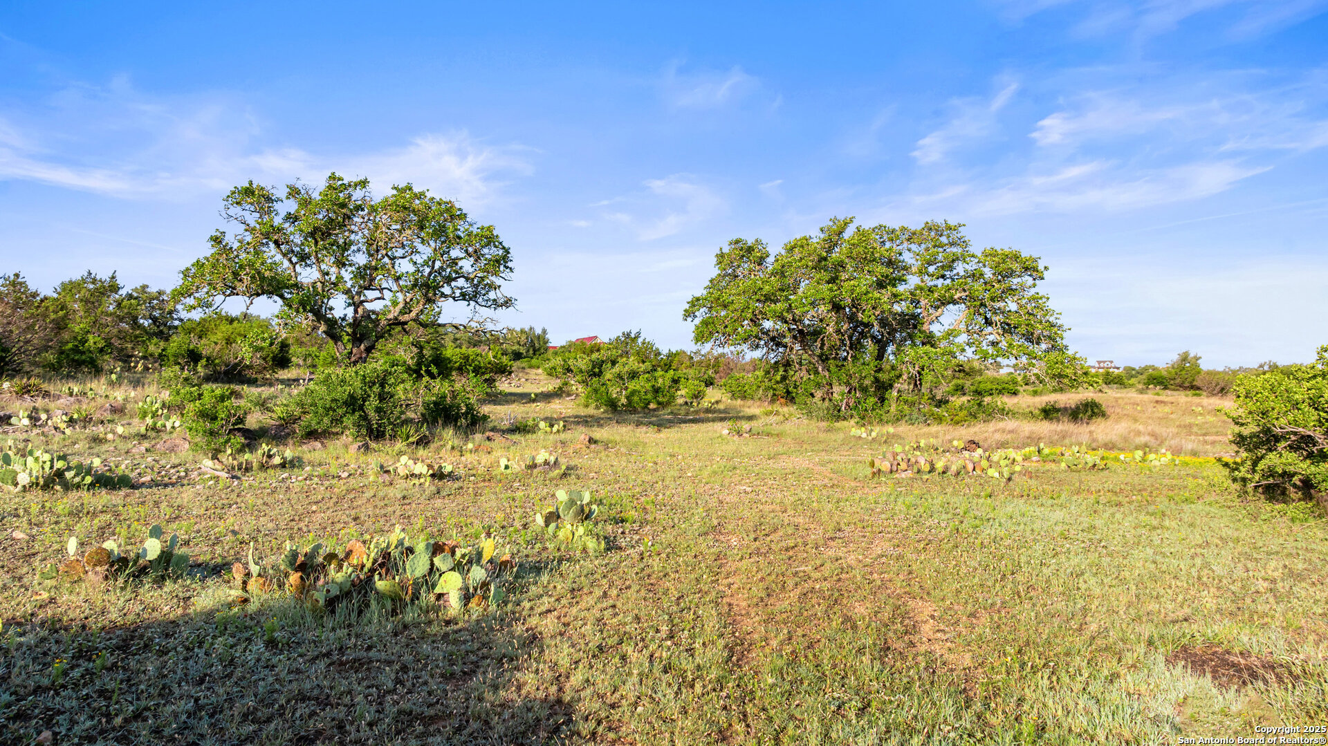 Lot 4 Vista Ridge Round Mountain TX 78663
