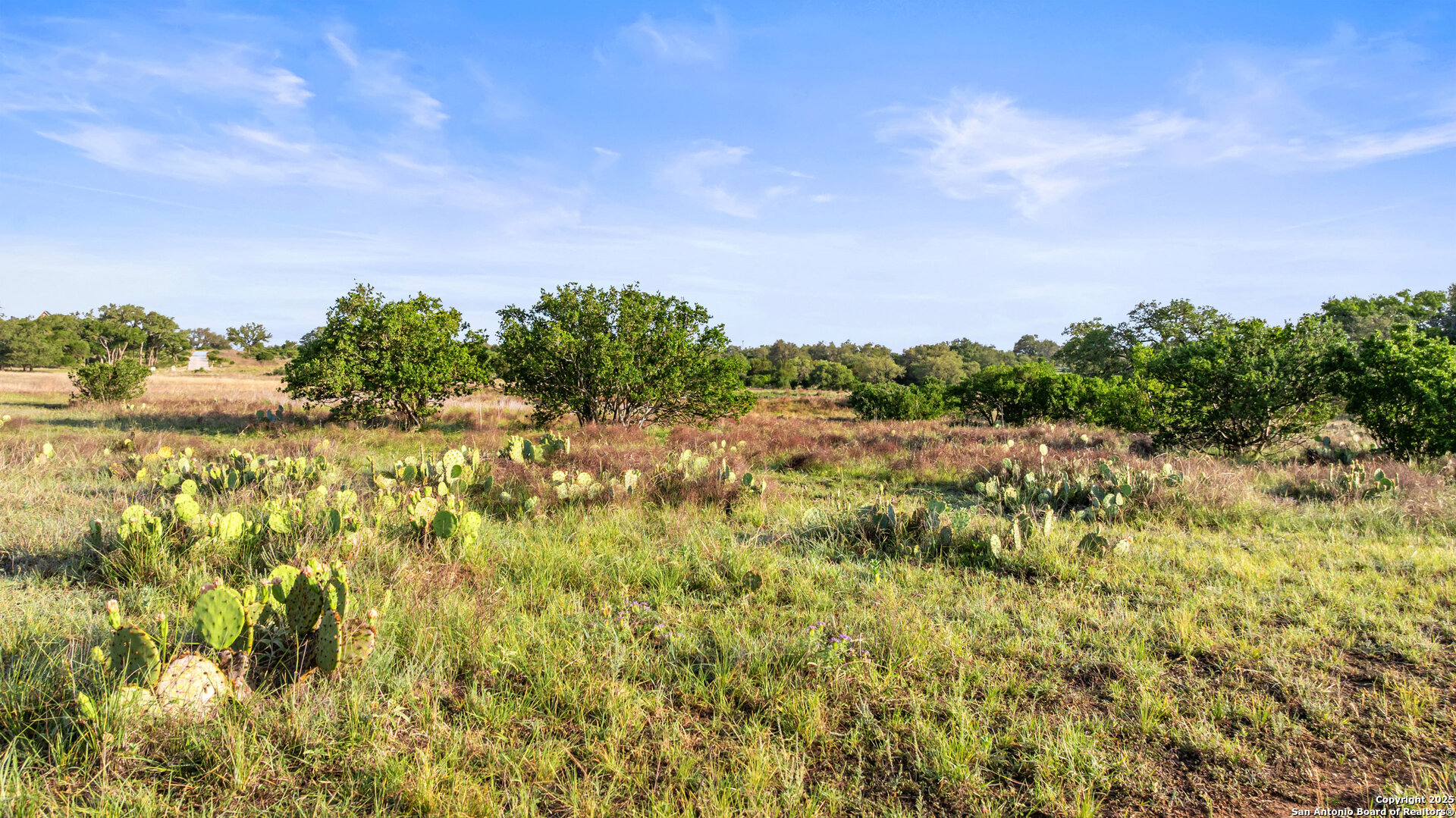 Lot 4 Vista Ridge Round Mountain TX 78663