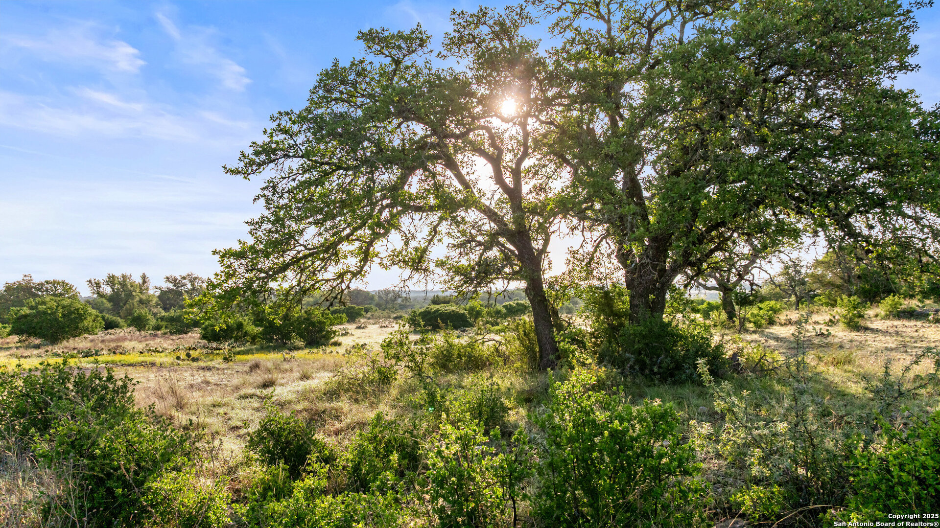 Lot 4 Vista Ridge Round Mountain TX 78663