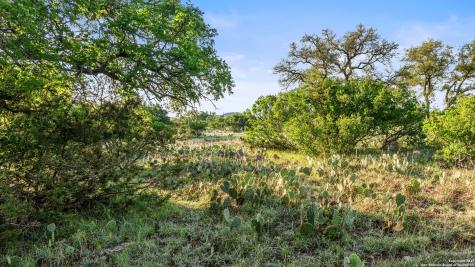 Lot 4 Vista Ridge Round Mountain TX 78663