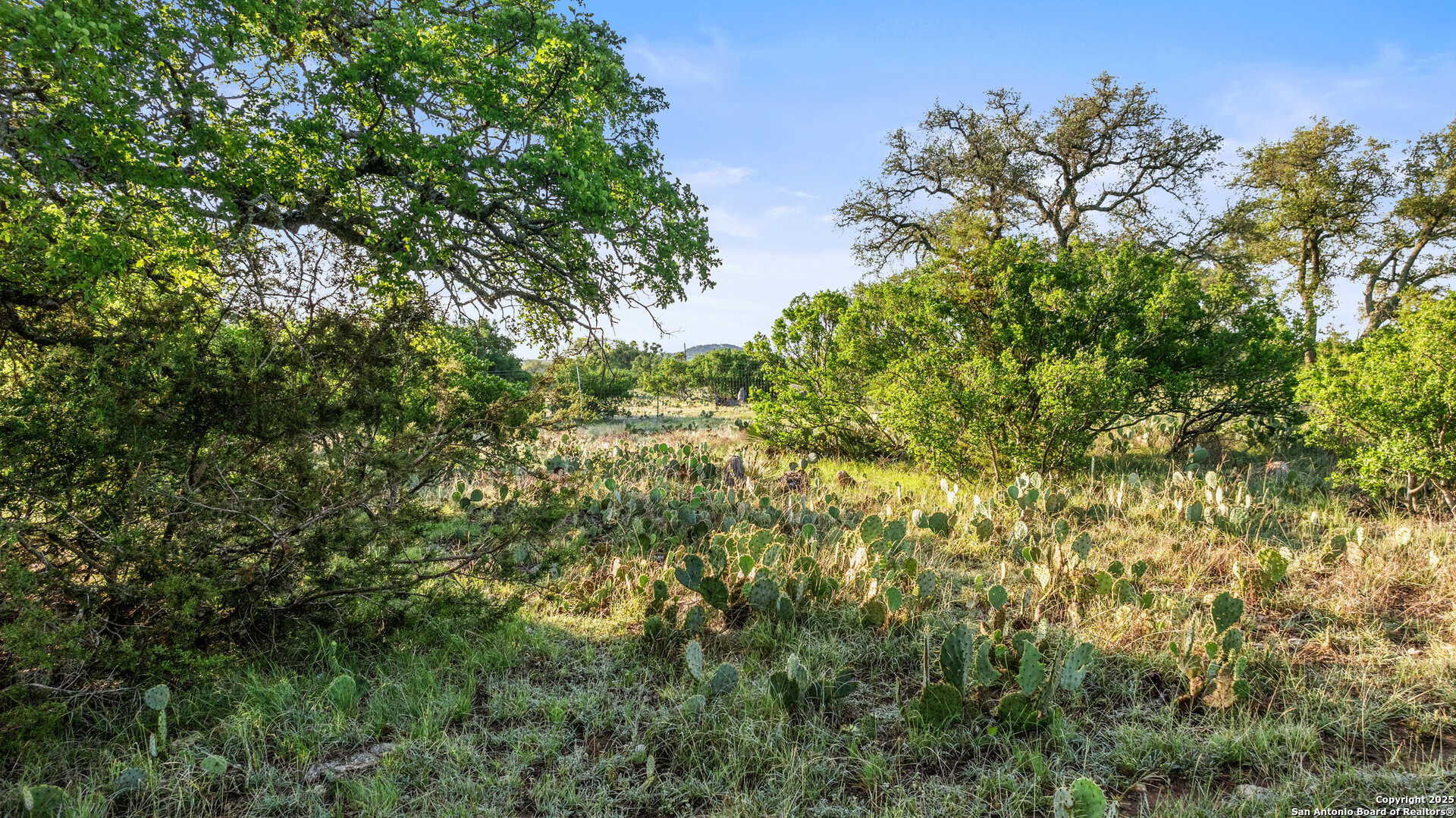 Lot 4 Vista Ridge Round Mountain TX 78663