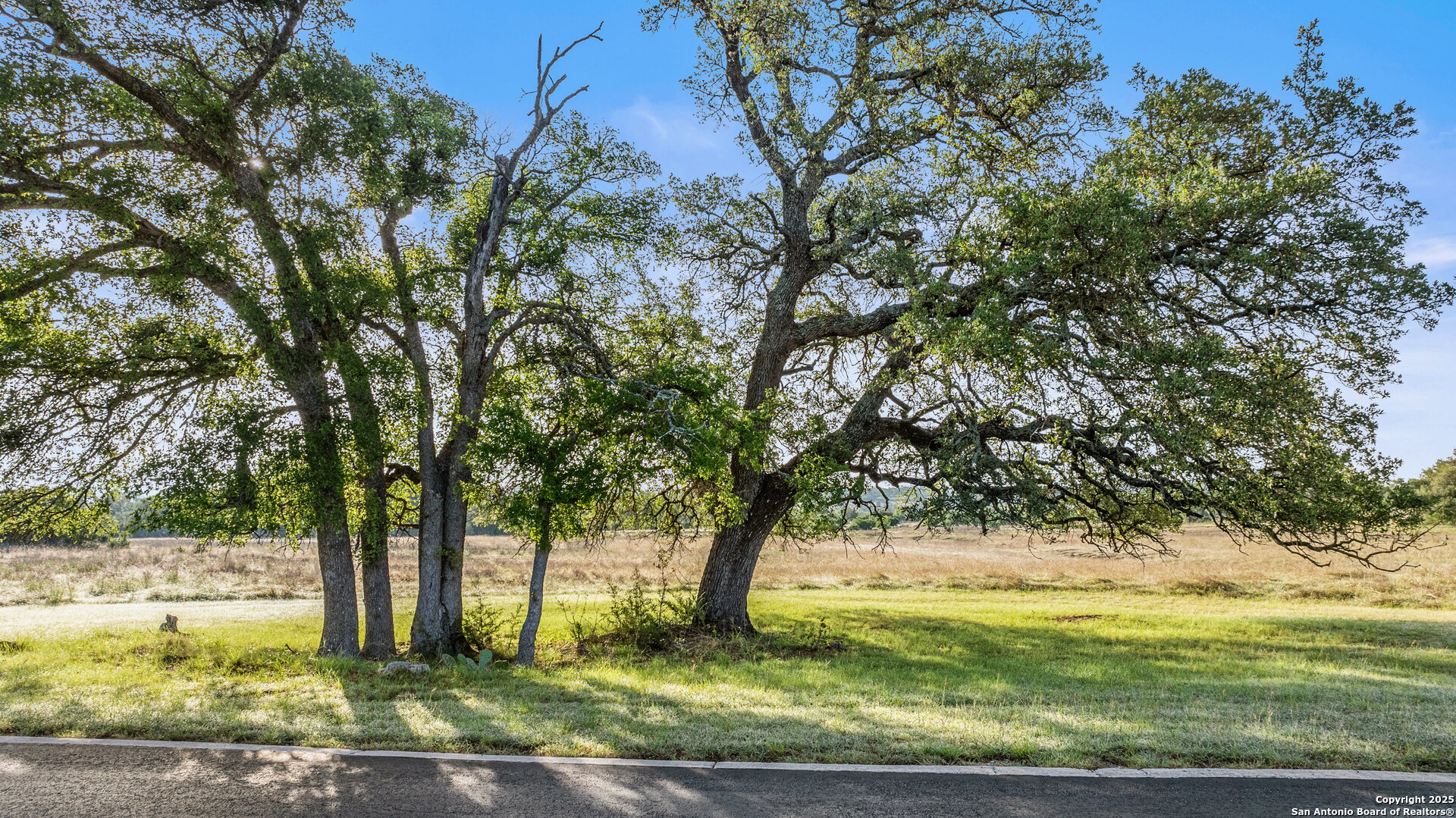 Lot 4 Vista Ridge Round Mountain TX 78663
