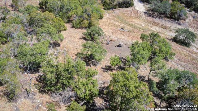 36 Twisted Oak Trail Blanco TX 78606