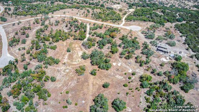 36 Twisted Oak Trail Blanco TX 78606