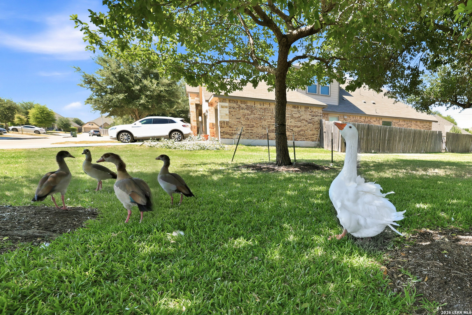 8610 Sierra Sky San Antonio TX 78254