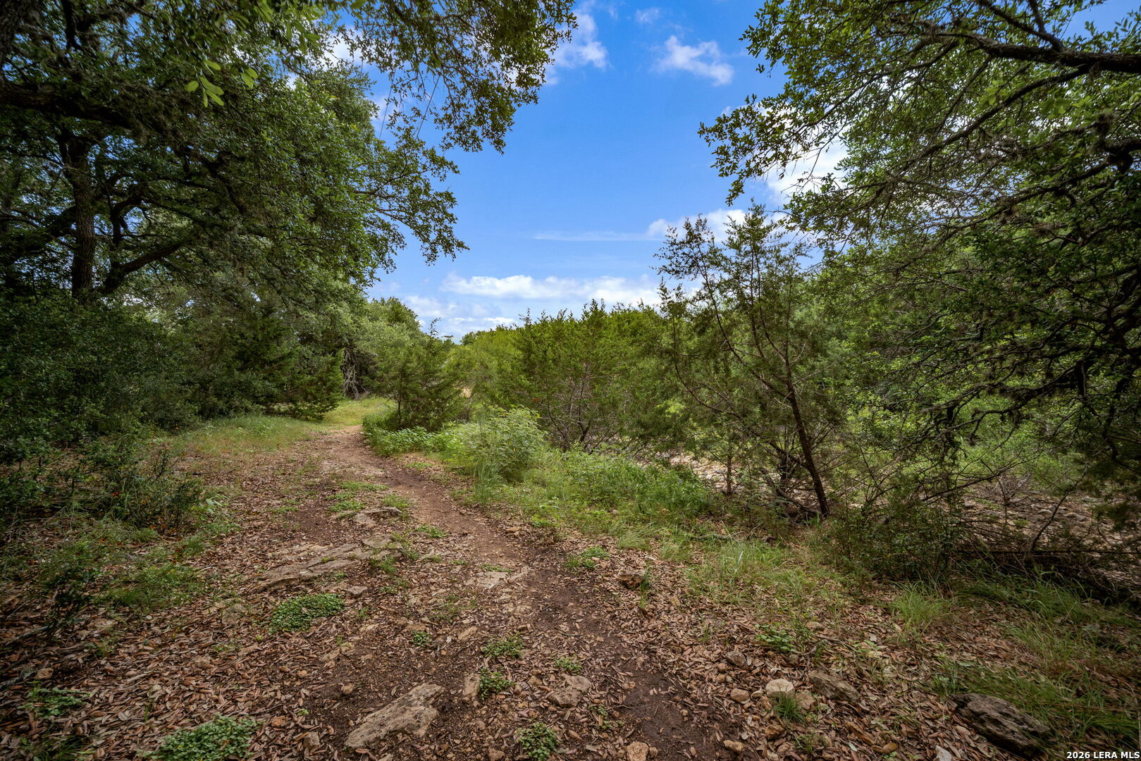1523 Crooked Stick San Antonio TX 78260