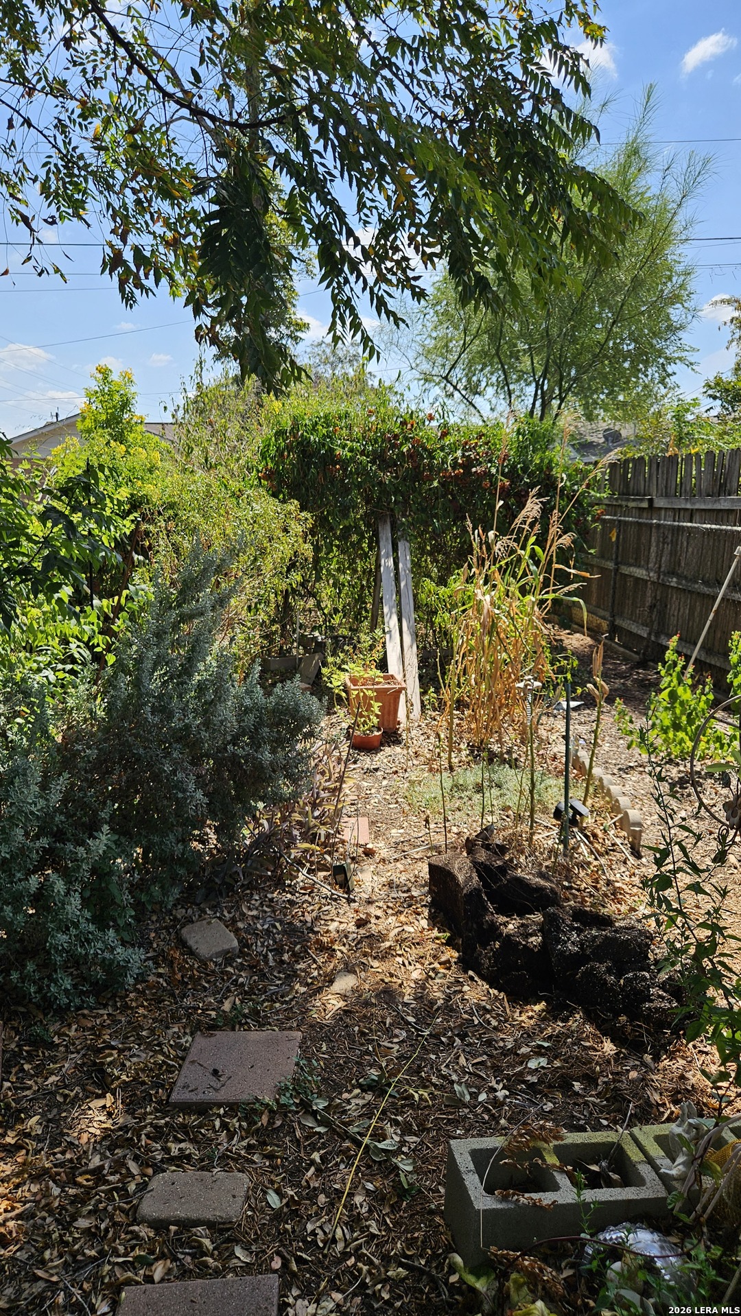 4806 Wycliff Drive San Antonio TX 78220