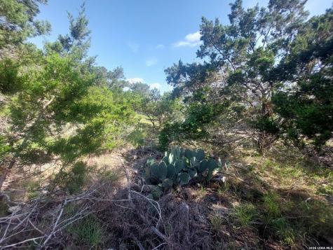 621 Glen Oaks Drive Canyon Lake TX 78133