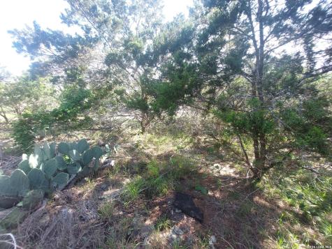 621 Glen Oaks Drive Canyon Lake TX 78133