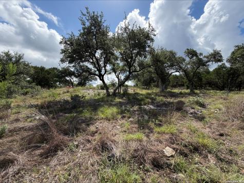 1417 Powder Ridge Road New Braunfels TX 78132
