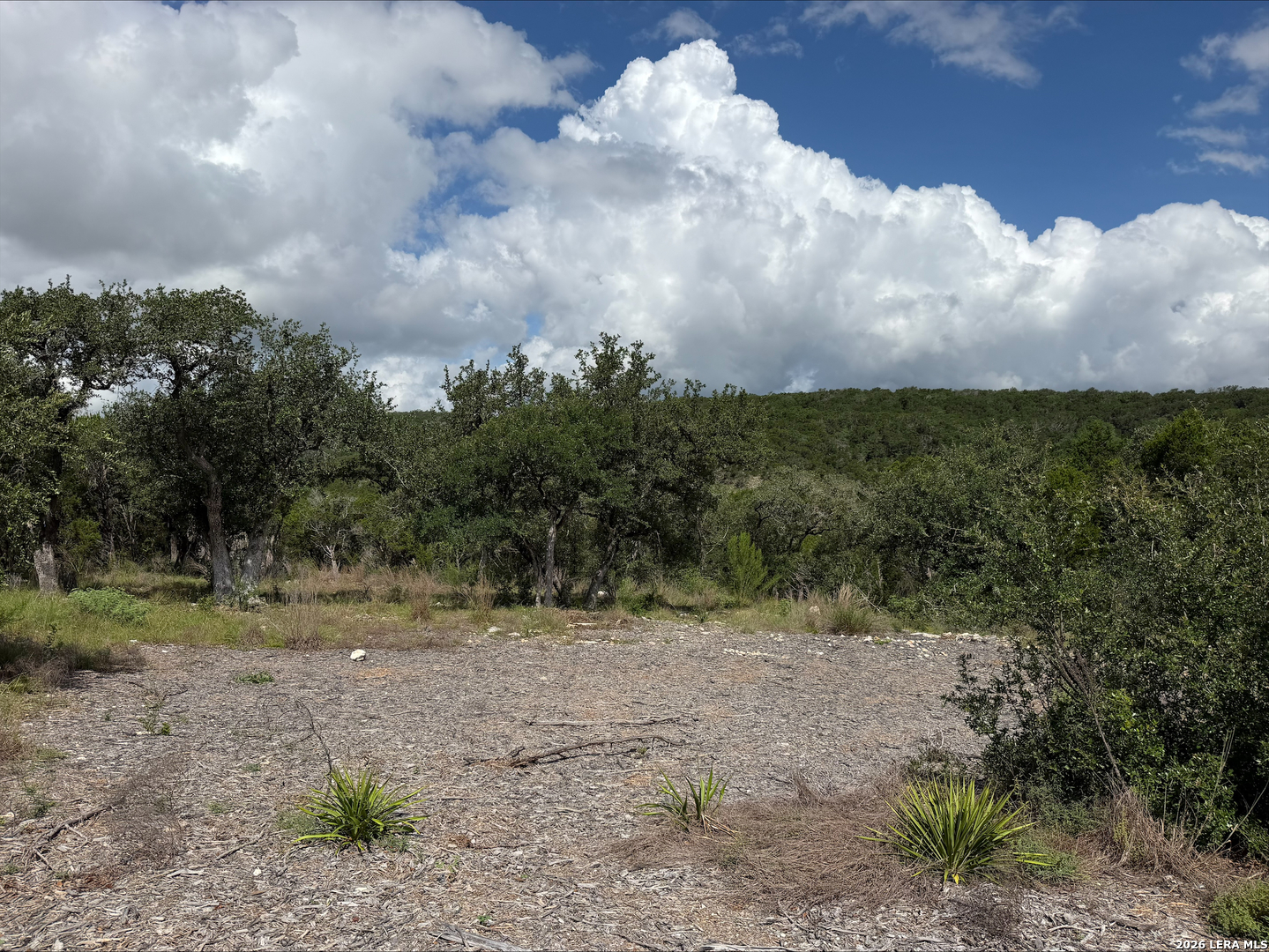 1417 Powder Ridge Road New Braunfels TX 78132