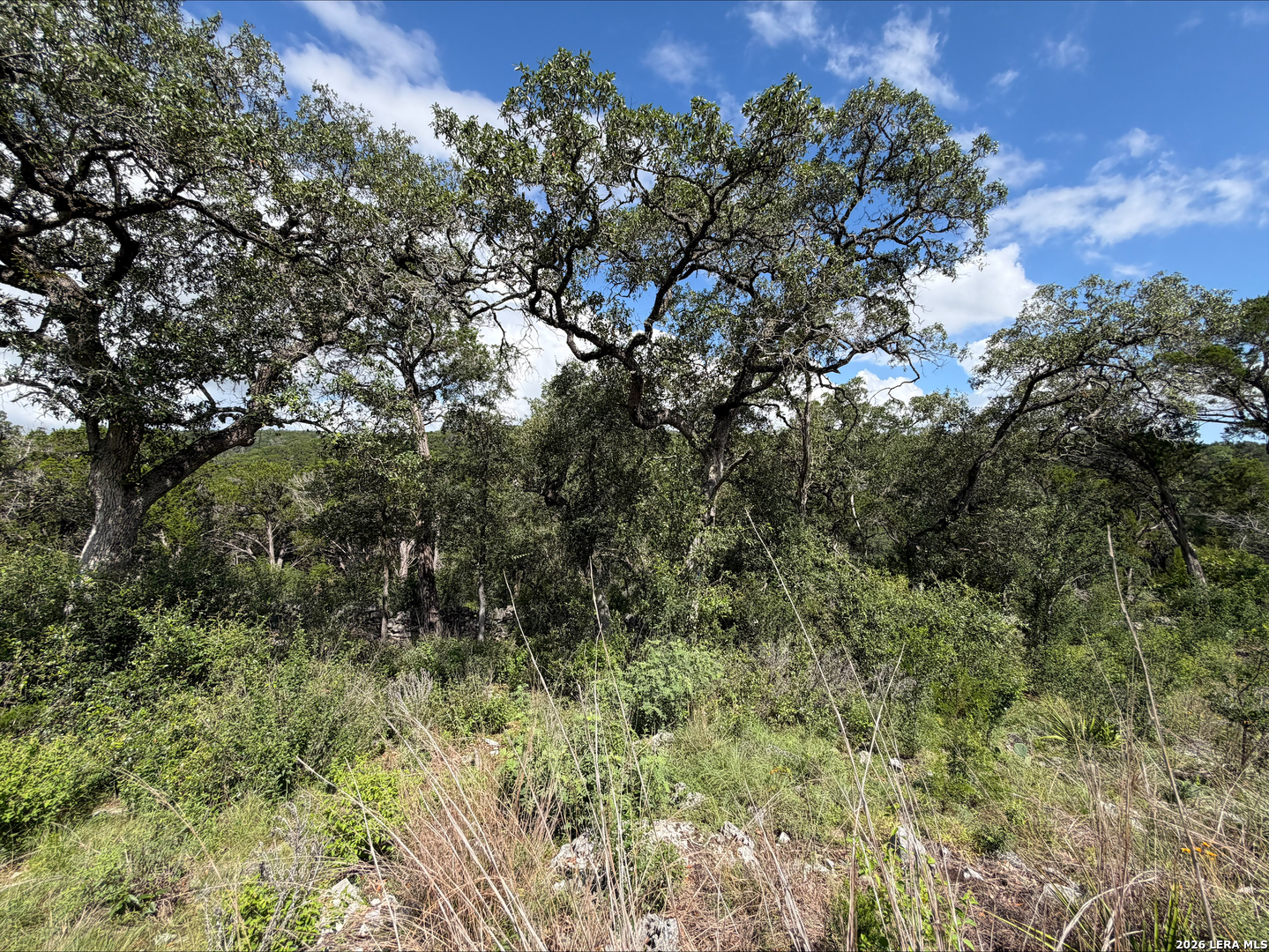 1417 Powder Ridge Road New Braunfels TX 78132