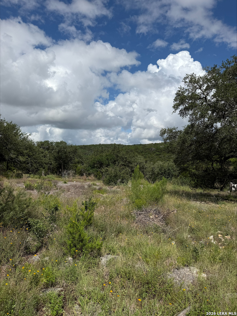 1417 Powder Ridge Road New Braunfels TX 78132