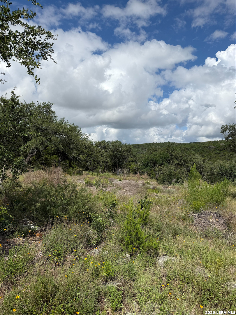 1417 Powder Ridge Road New Braunfels TX 78132