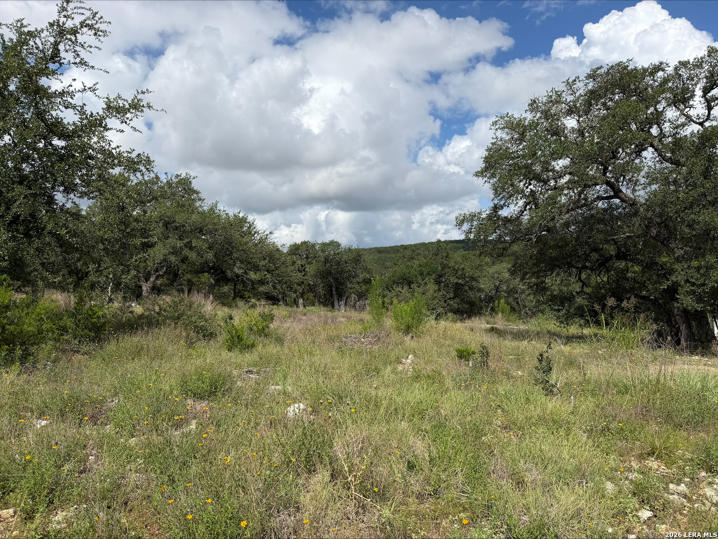 1417 Powder Ridge Road New Braunfels TX 78132
