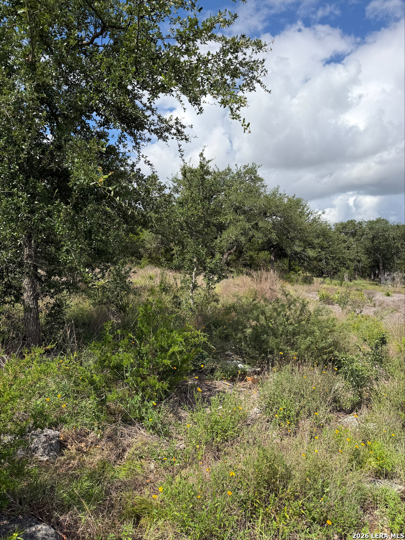 1417 Powder Ridge Road New Braunfels TX 78132