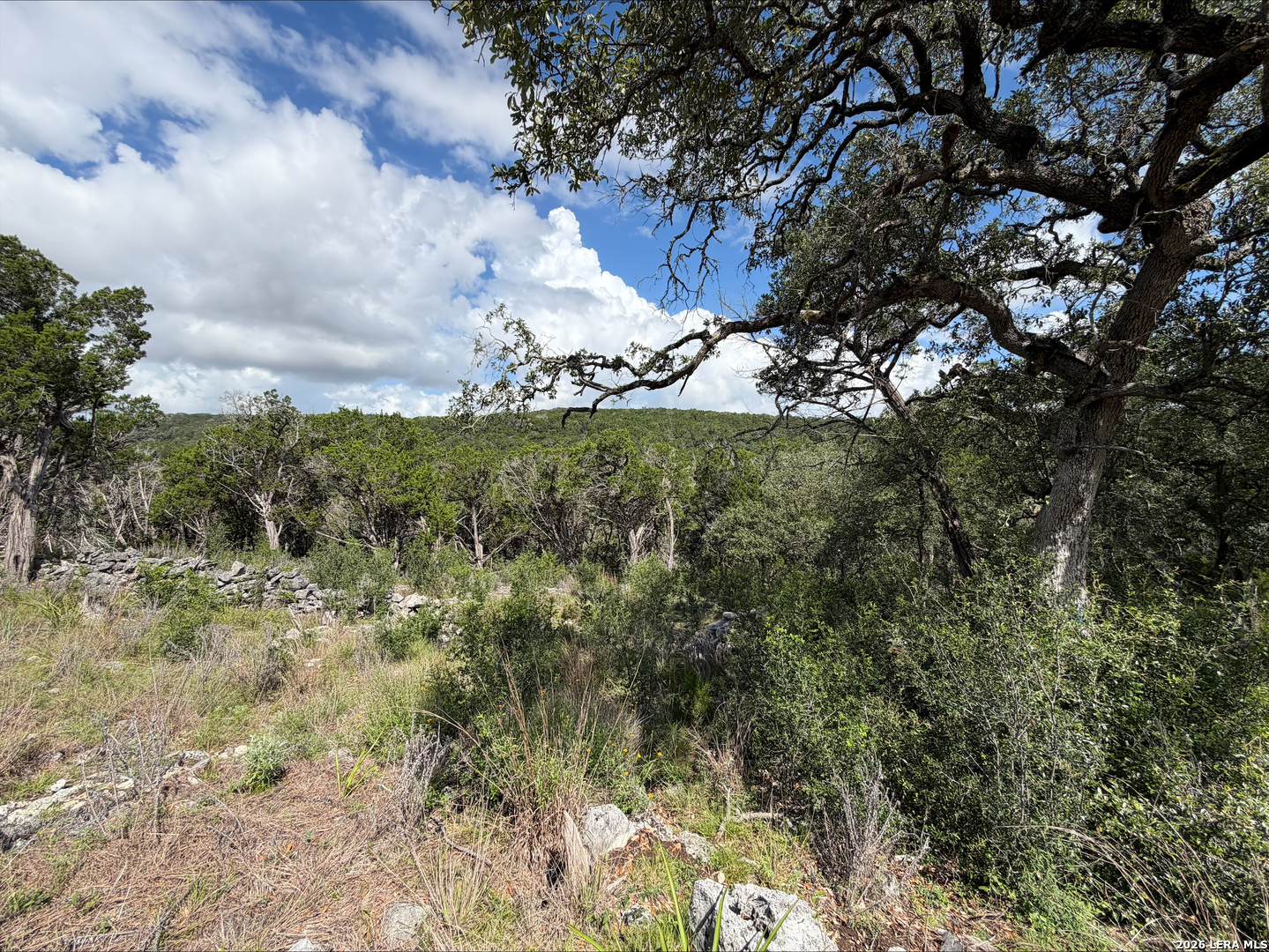 1417 Powder Ridge Road New Braunfels TX 78132