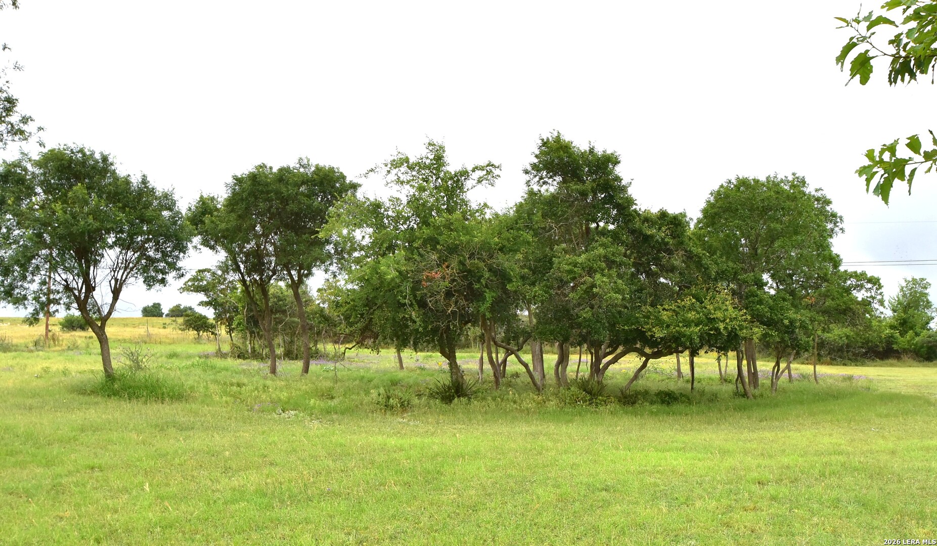 8400 Maner Road Harper TX 78631