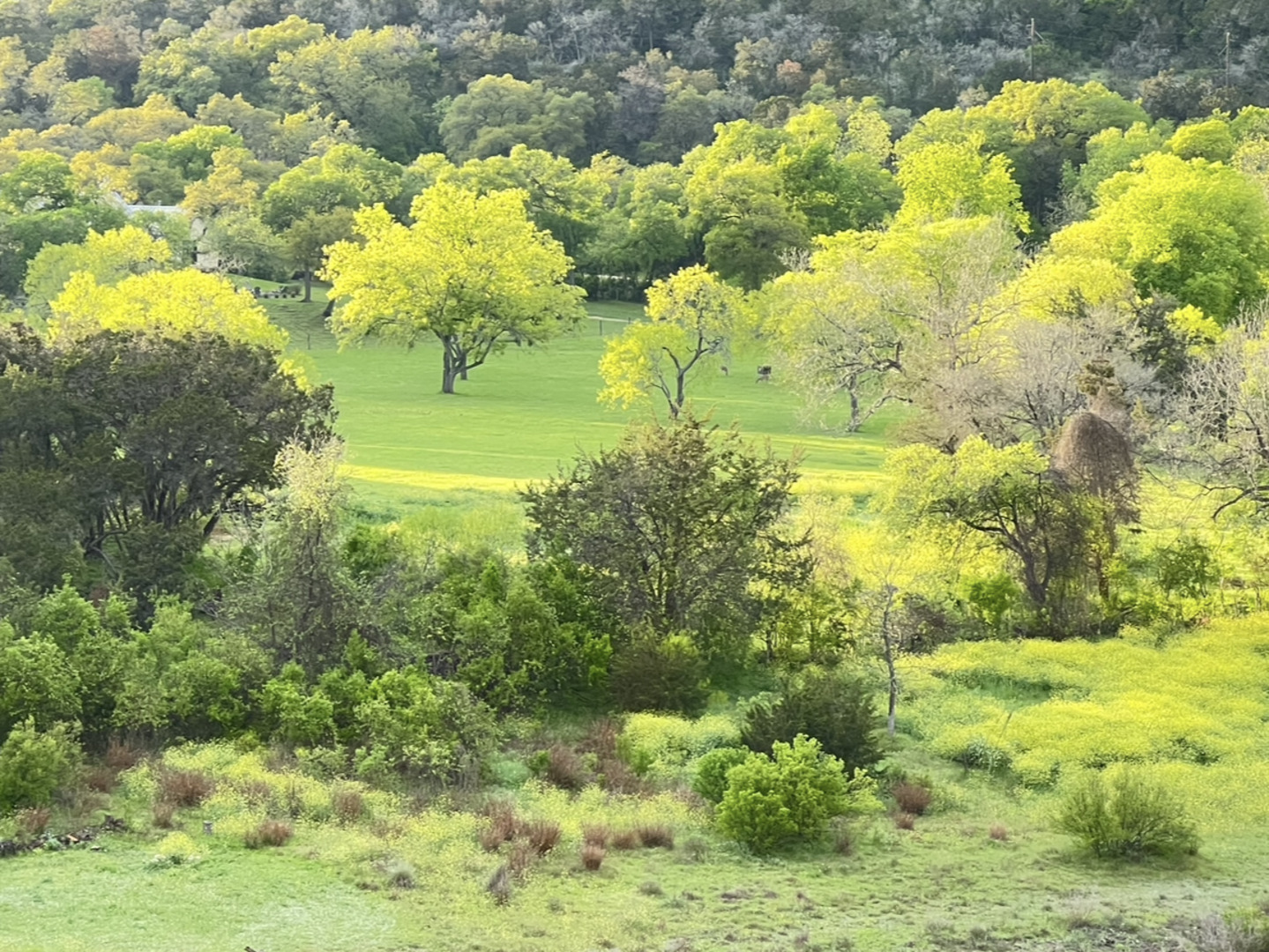 701 River Bend Boulevard San Marcos TX 78666