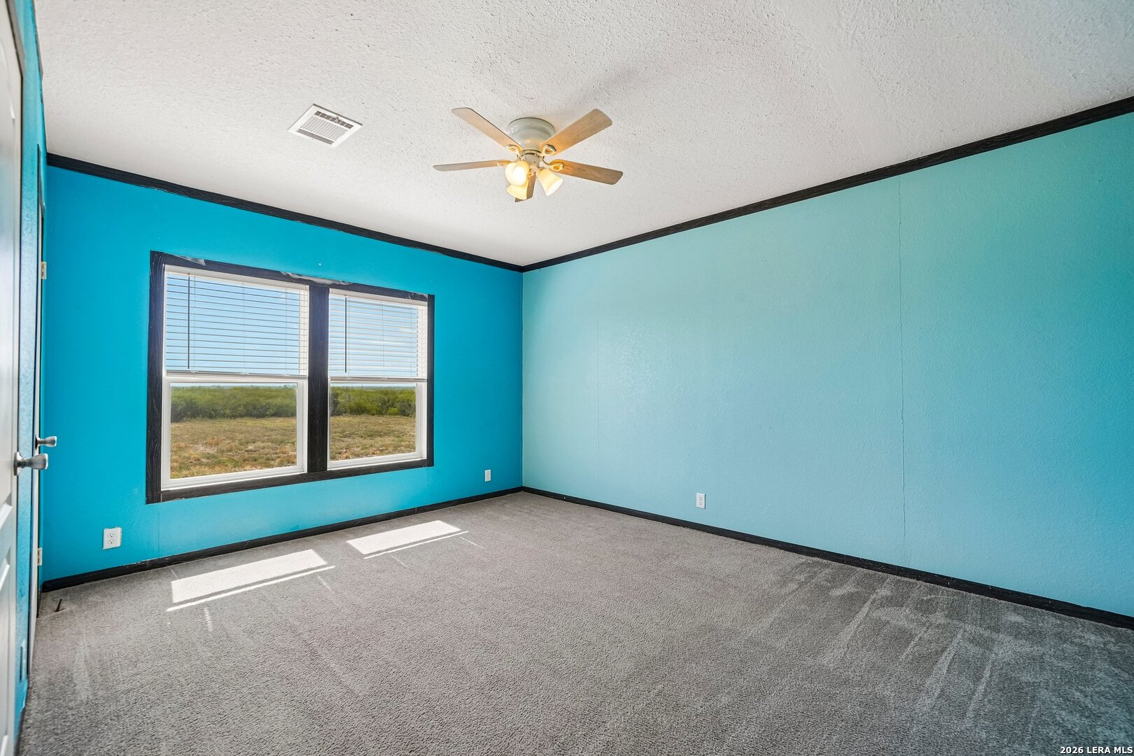 290 Lilly Bear Lane Moore TX 78057