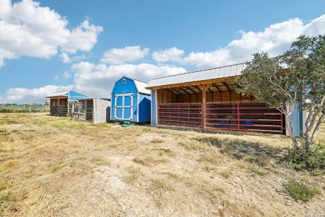 290 Lilly Bear Lane Moore TX 78057