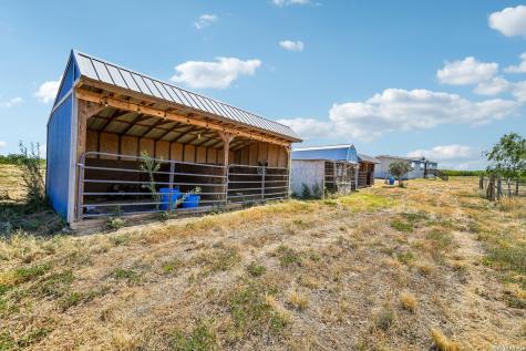 290 Lilly Bear Lane Moore TX 78057