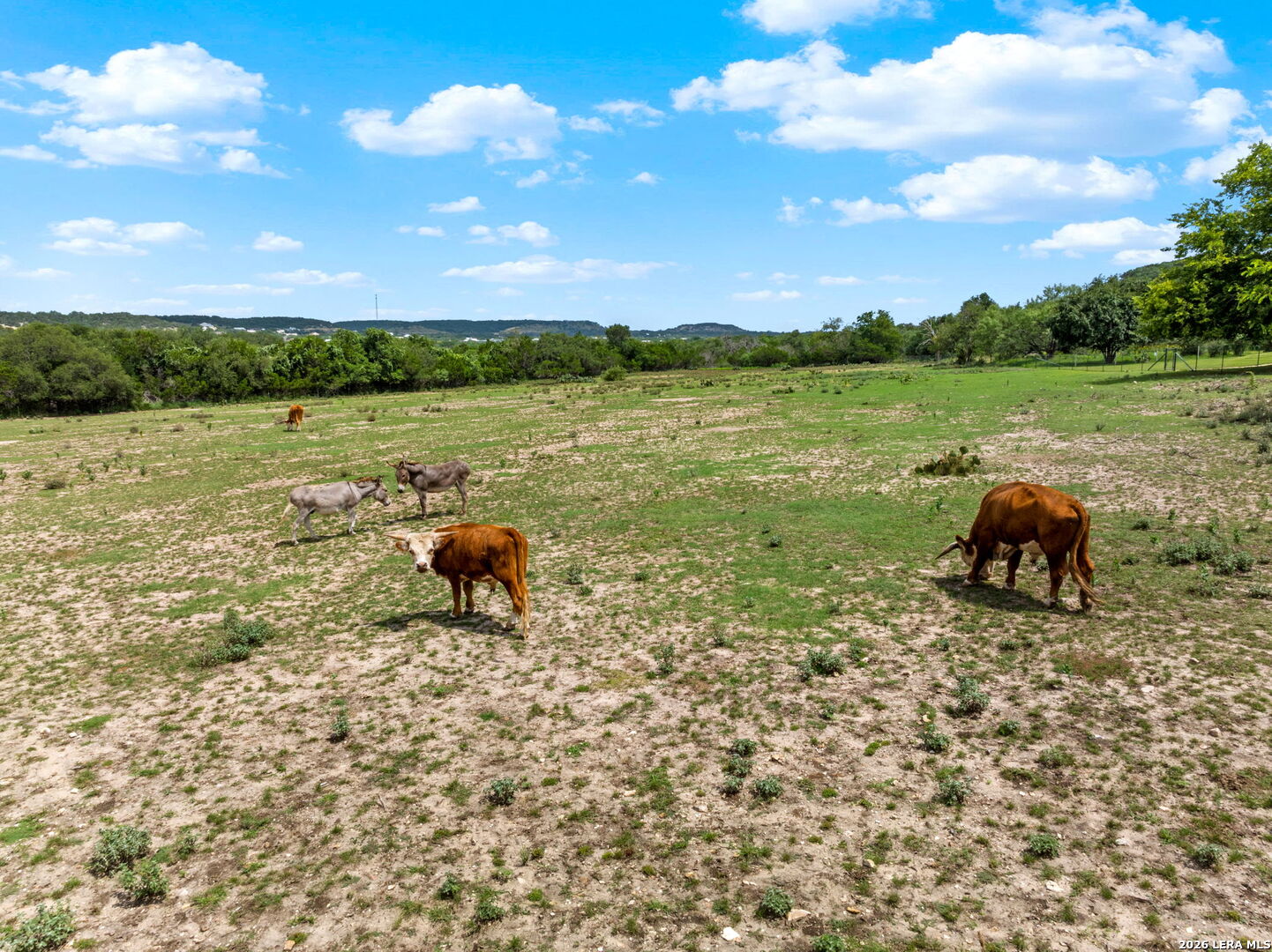 834 Northwood Hills Drive Fredericksburg TX 78624
