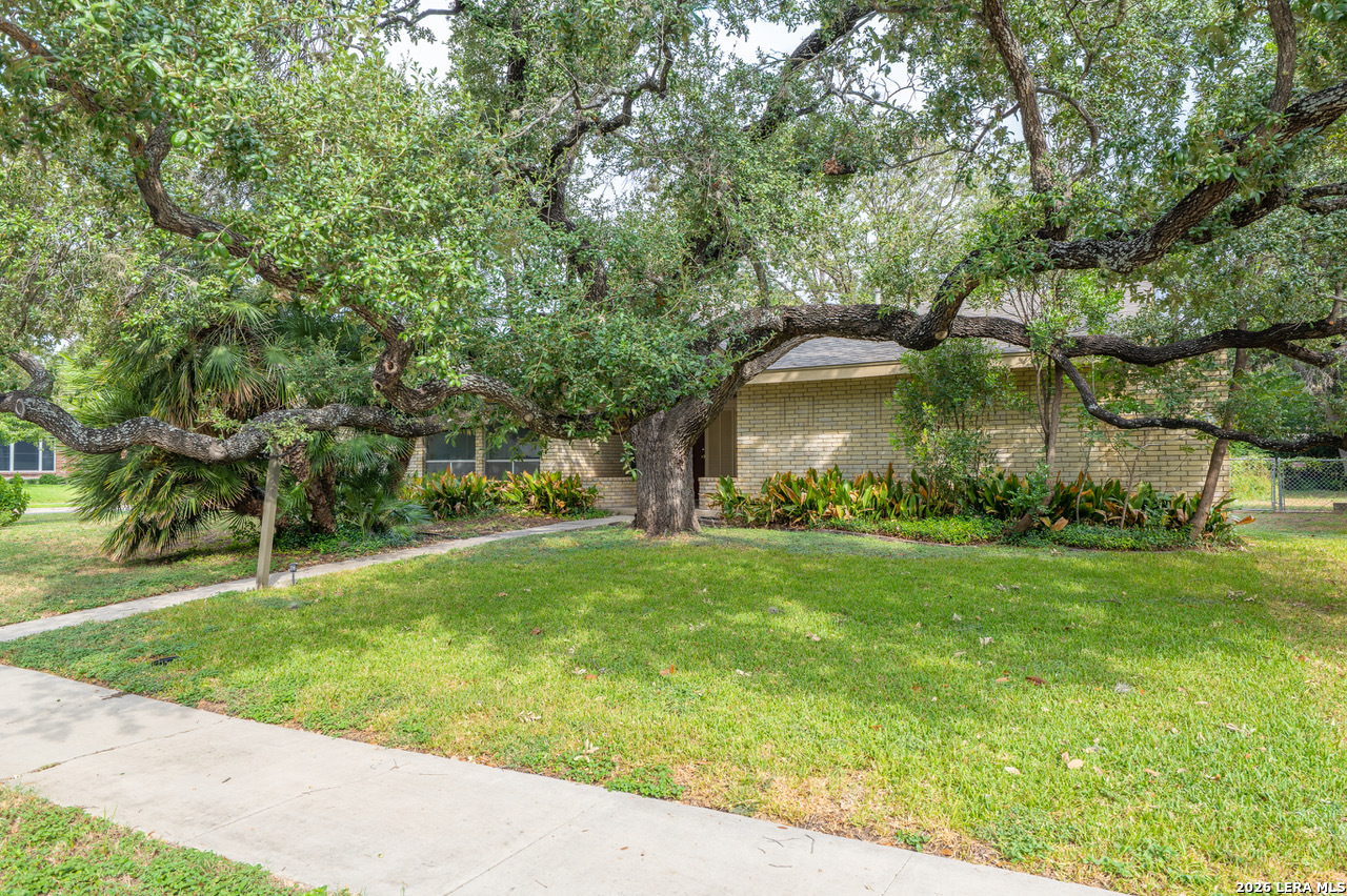 3103 Mindoro Drive San Antonio TX 78217