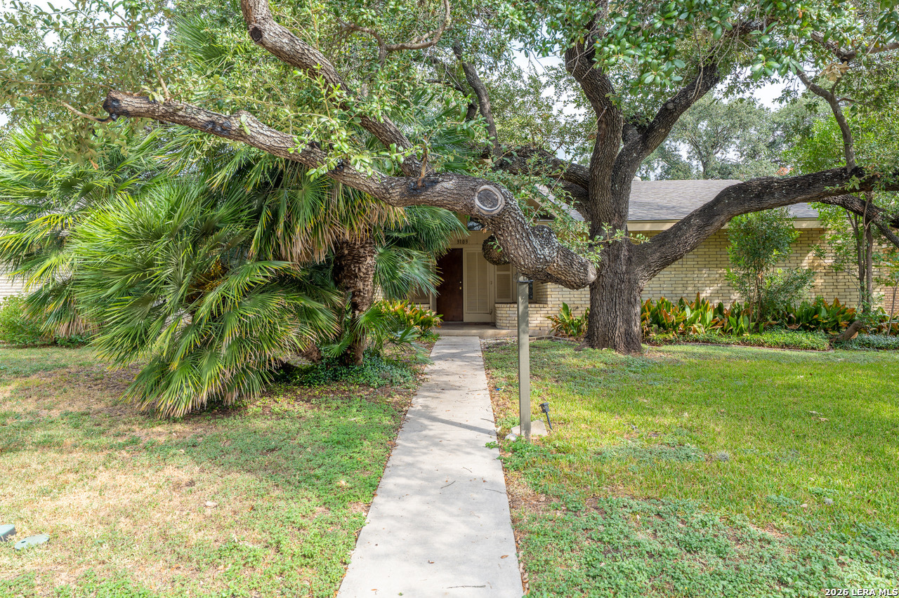 3103 Mindoro Drive San Antonio TX 78217