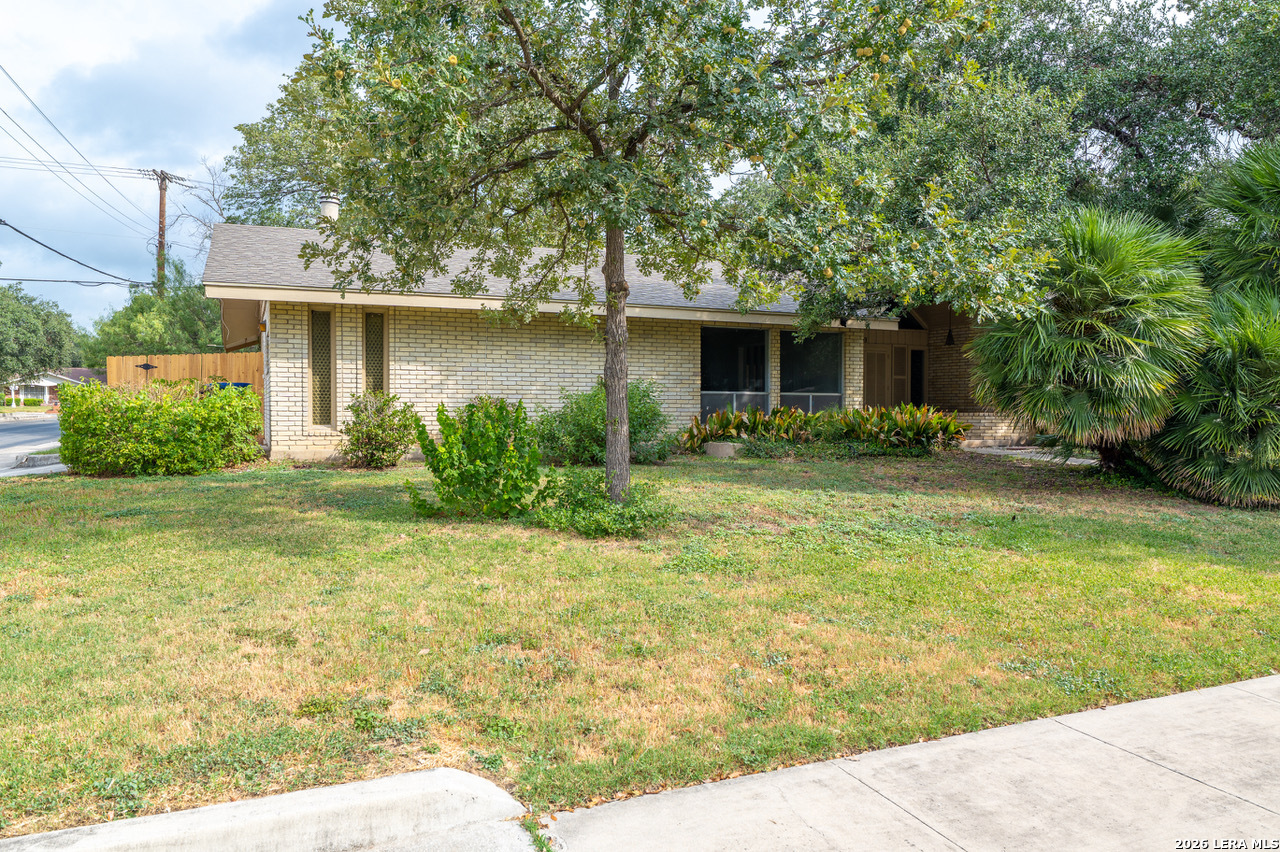 3103 Mindoro Drive San Antonio TX 78217