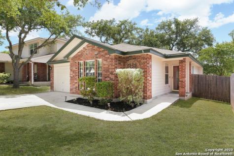 1226 Lion King San Antonio TX 78251