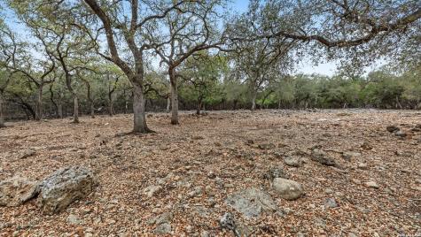1716 Phantom Rider Spring Branch TX 78070