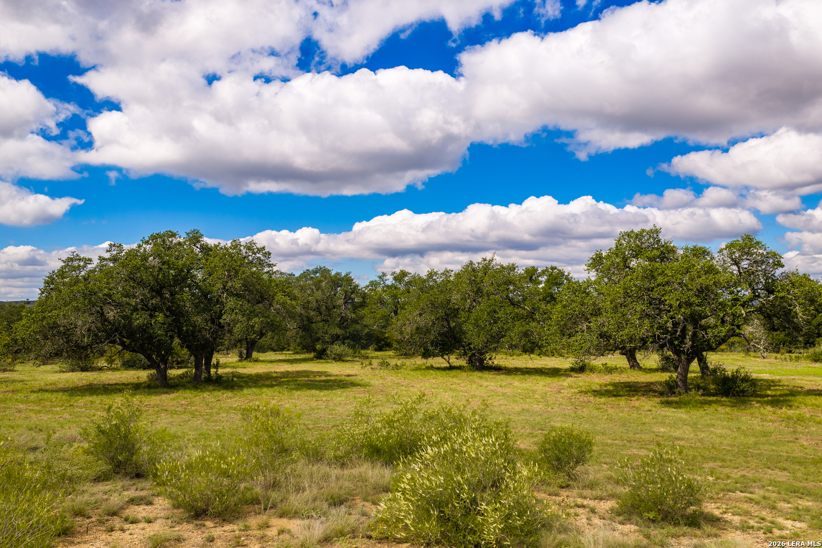 3145 N Grape Creek Road Fredericksburg TX 78624