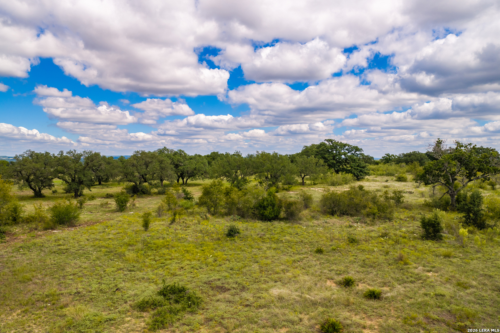 3145 N Grape Creek Road Fredericksburg TX 78624
