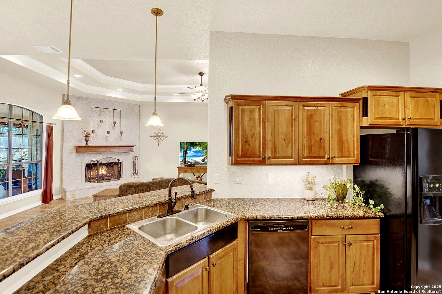 383 Rosewood La Vernia TX 78121