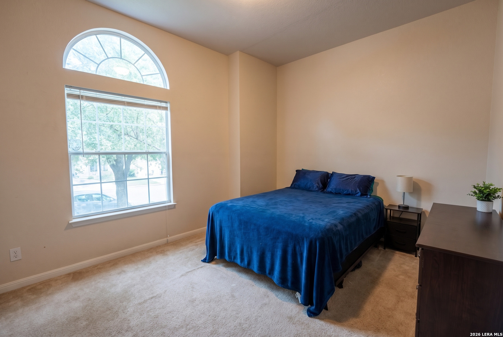 24823 White Creek San Antonio TX 78255