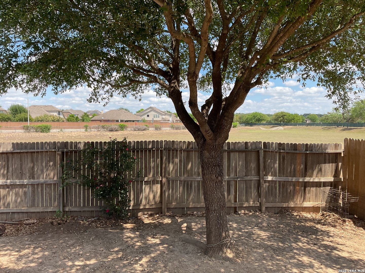 3504 Painted River Selma TX 78154