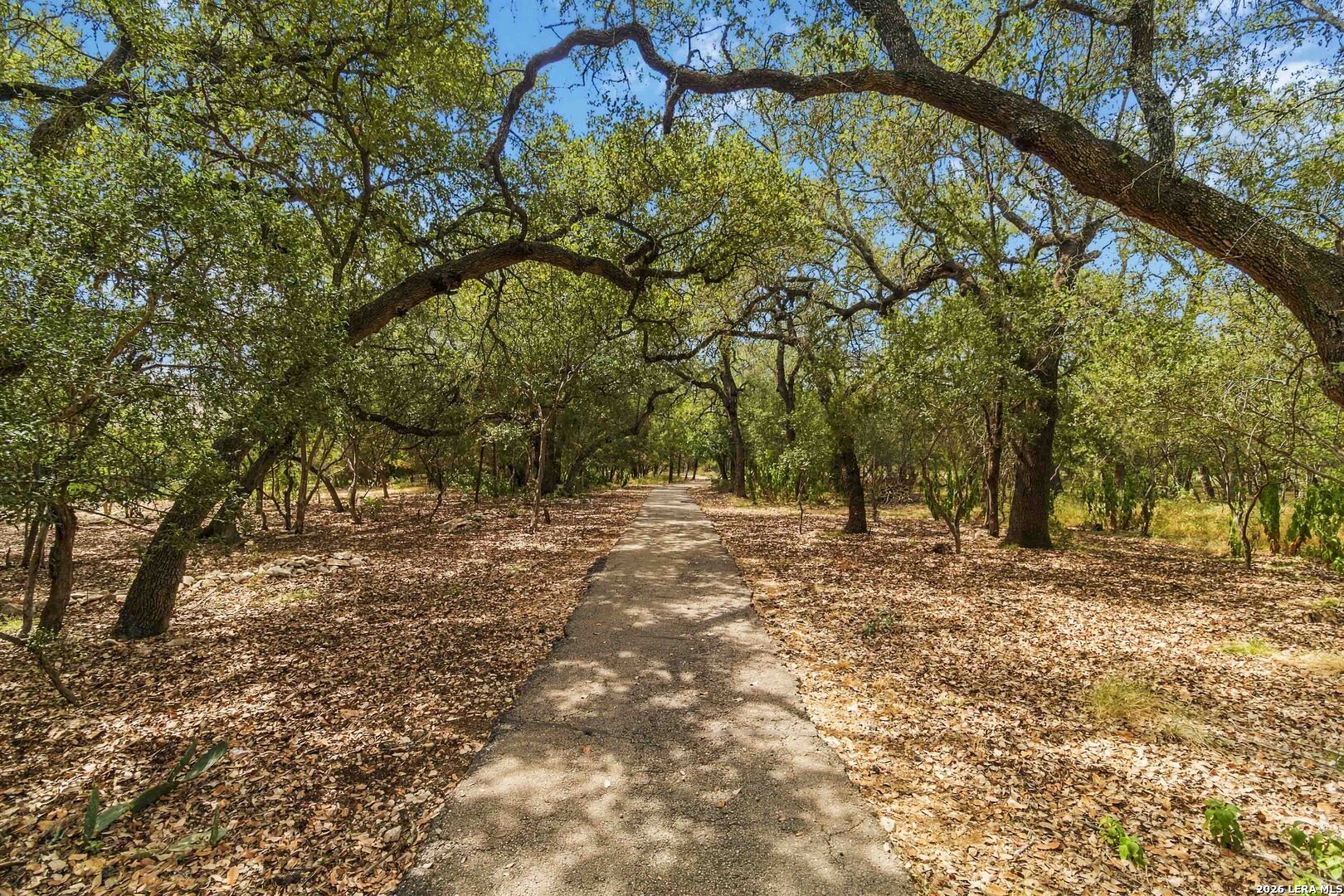 199 Roseheart San Antonio TX 78259