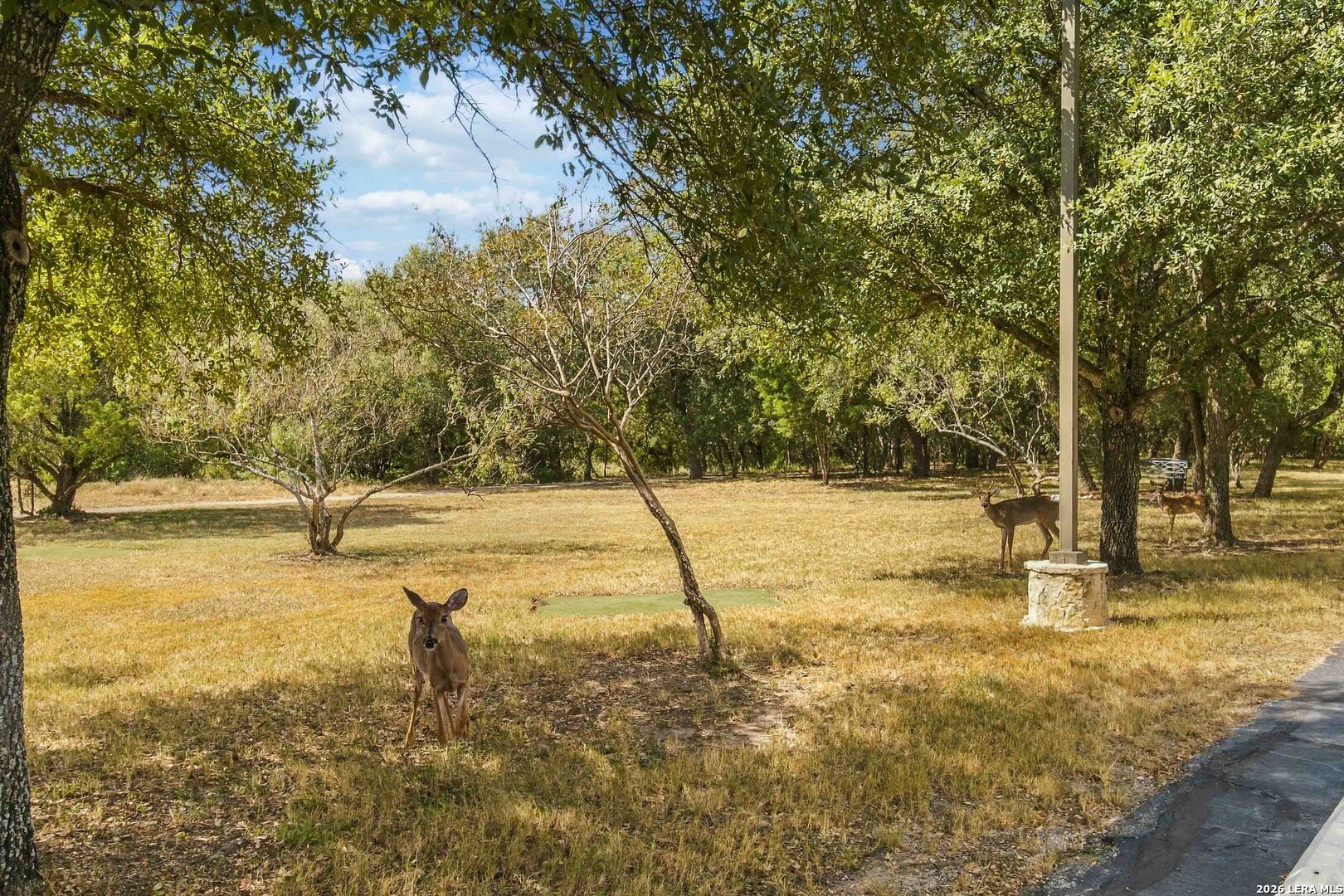 199 Roseheart San Antonio TX 78259