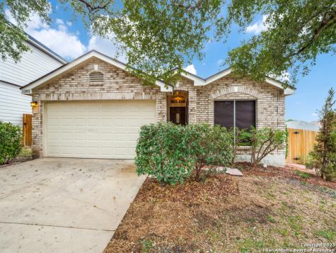 1202 Lion King San Antonio TX 78251