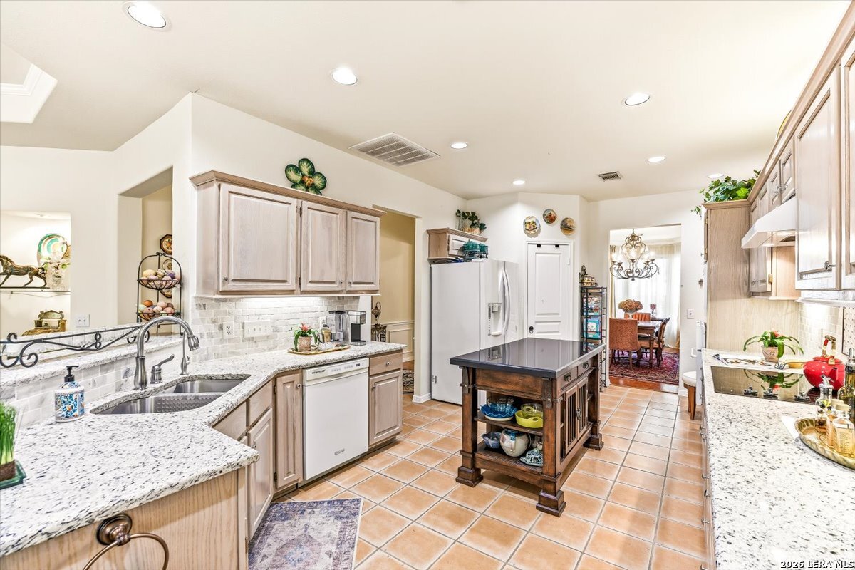 17202 Blanco Oaks San Antonio TX 78248