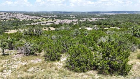 31126 Musgrave Drive Bulverde TX 78163