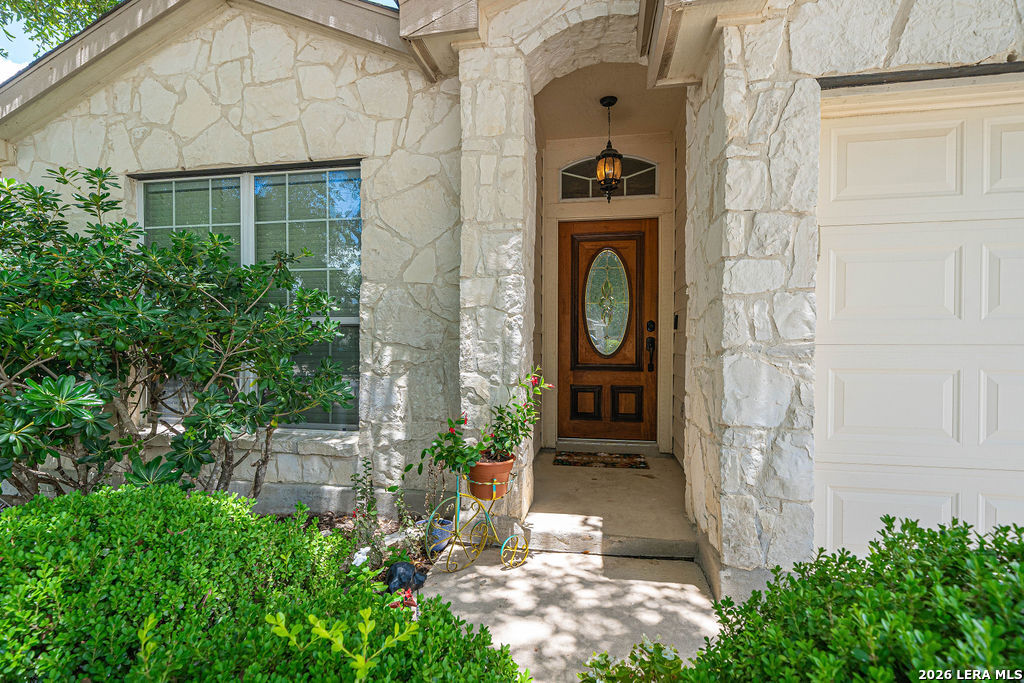 9115 Pumpkin Ridge Selma TX 78154